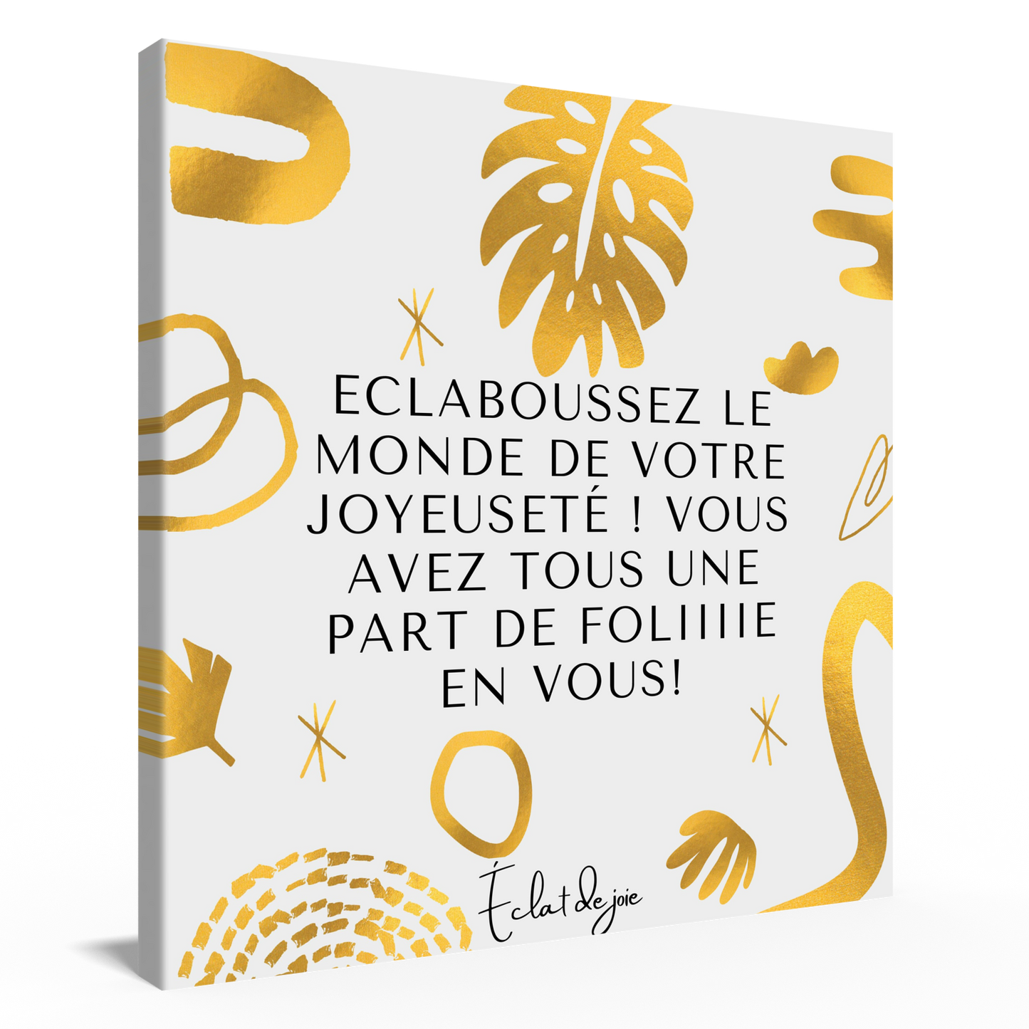 Eclaboussez le monde de votre joyeuseté ! Vous avez tous une part de folie en vous !