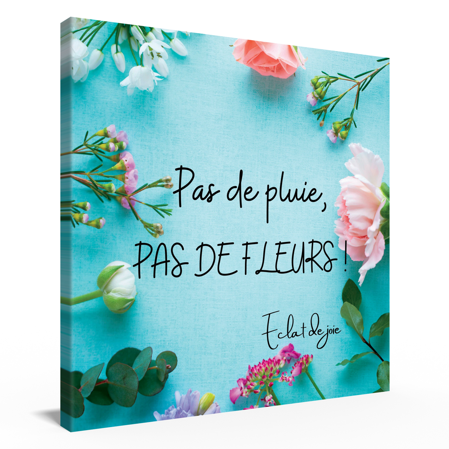 Pas de pluie, pas de fleurs !