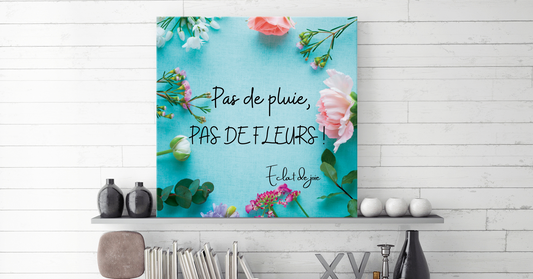 Pas de pluie, pas de fleurs !