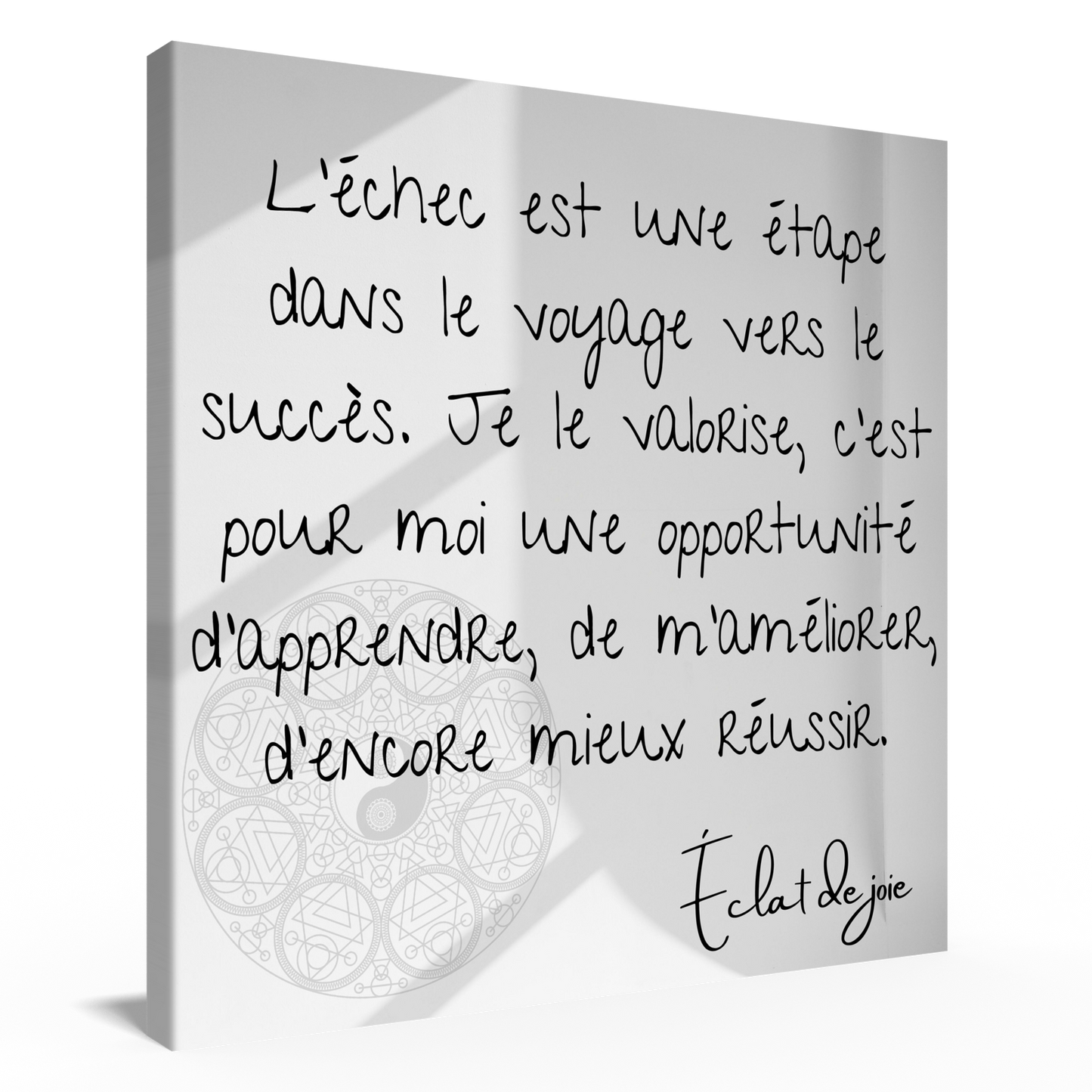 L’échec est une étape dans le voyage vers le succès. Je le valorise, c’est pour moi une opportunité d’apprendre, de m’améliorer, d’encore mieux réussir.